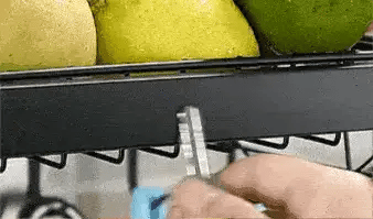 Encabezado