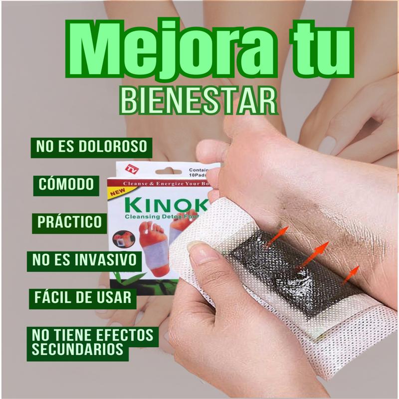 Encabezado